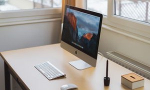 Discover Eco-Friendly Android Gaming_ Green Edition Apps Unleashed