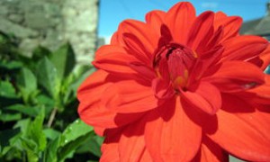 Apple Wins Partial Victory in Epic Antitrust Appeal Over App Store Fees